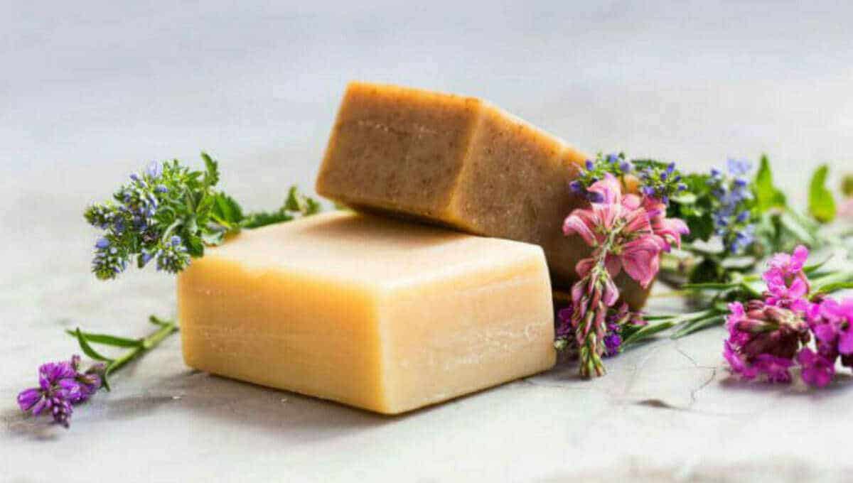 The best natural body soap brands Top 10 natural soap bars at Amazon