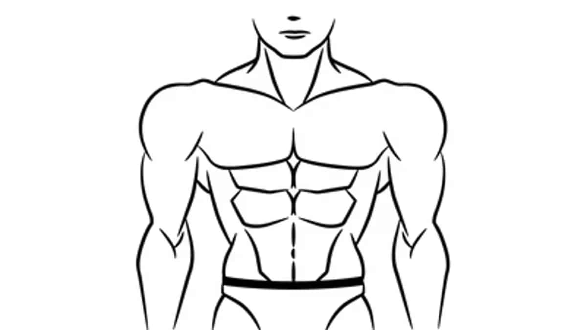 Best Bodybuilding App Android Free