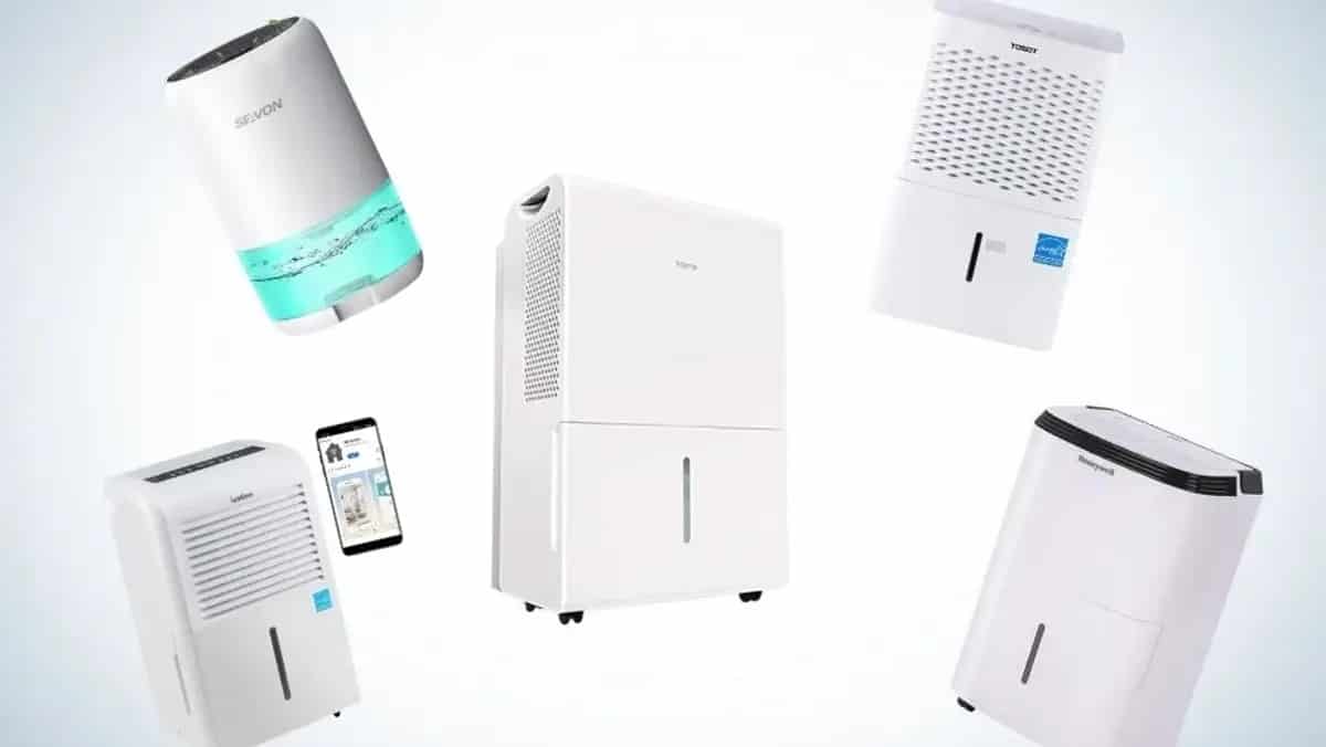 Best dehumidifier for home reviews How to choose and buy