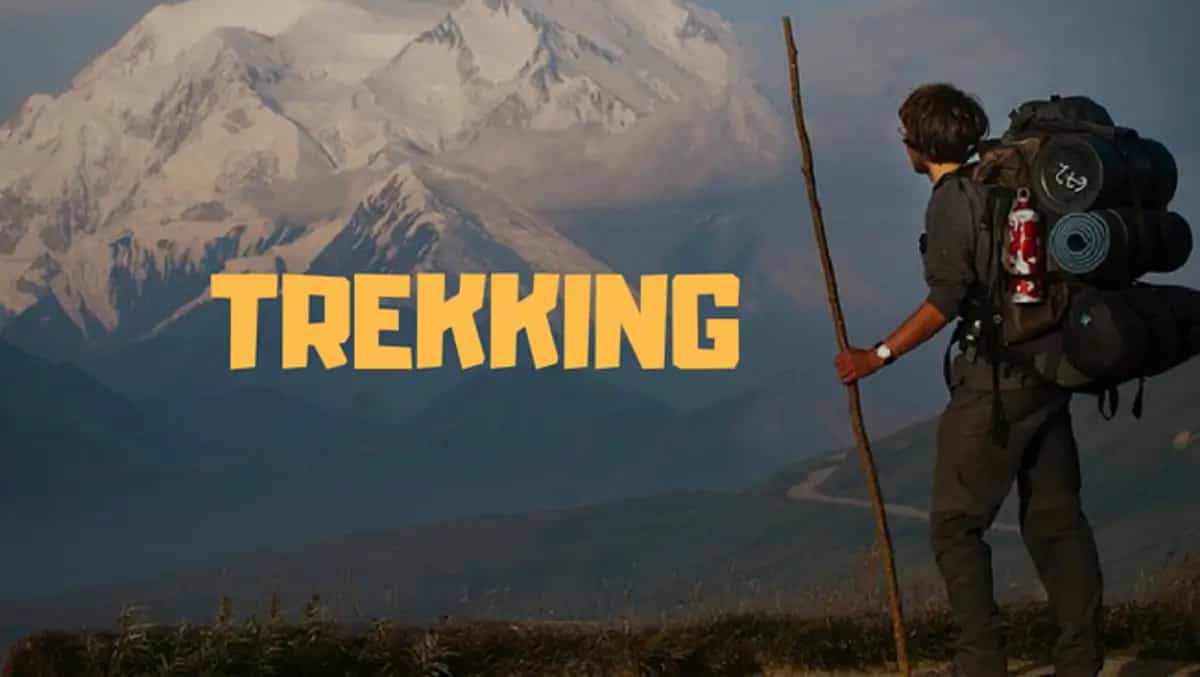 Best walking sticks for trekking Trekking poles