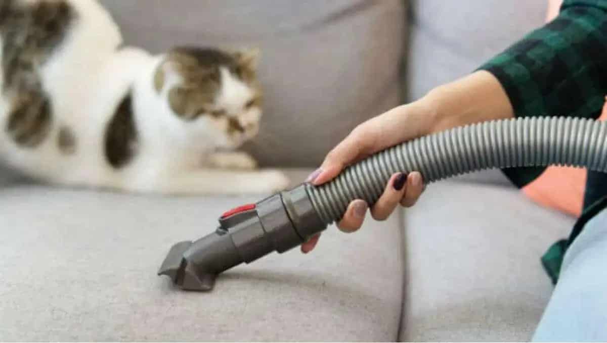 Best vacuum cleaners for pets and hard floors Shopping guides and opinions