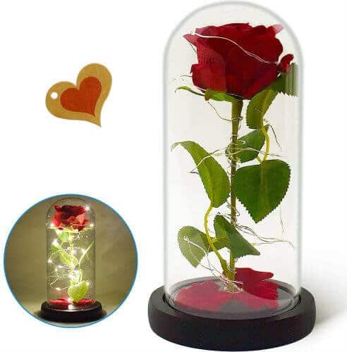 Eternal Rose Flower Lamp
