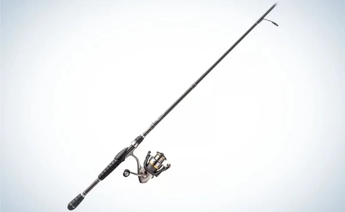 The Best Fishing Rods for Sea Lakes and Rivers