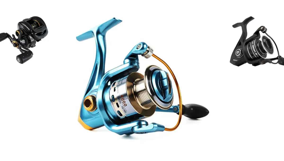 The best fishing reel How to choose and top 7 reviews