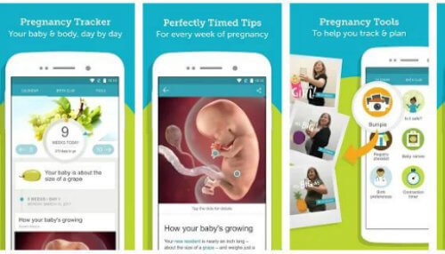 Pregnancy Tracker Baby Development Countdown
