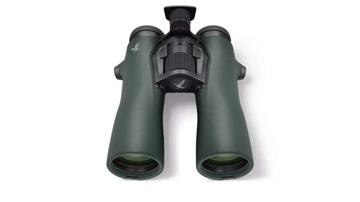 Best Swarovski binoculars for birding and hunting