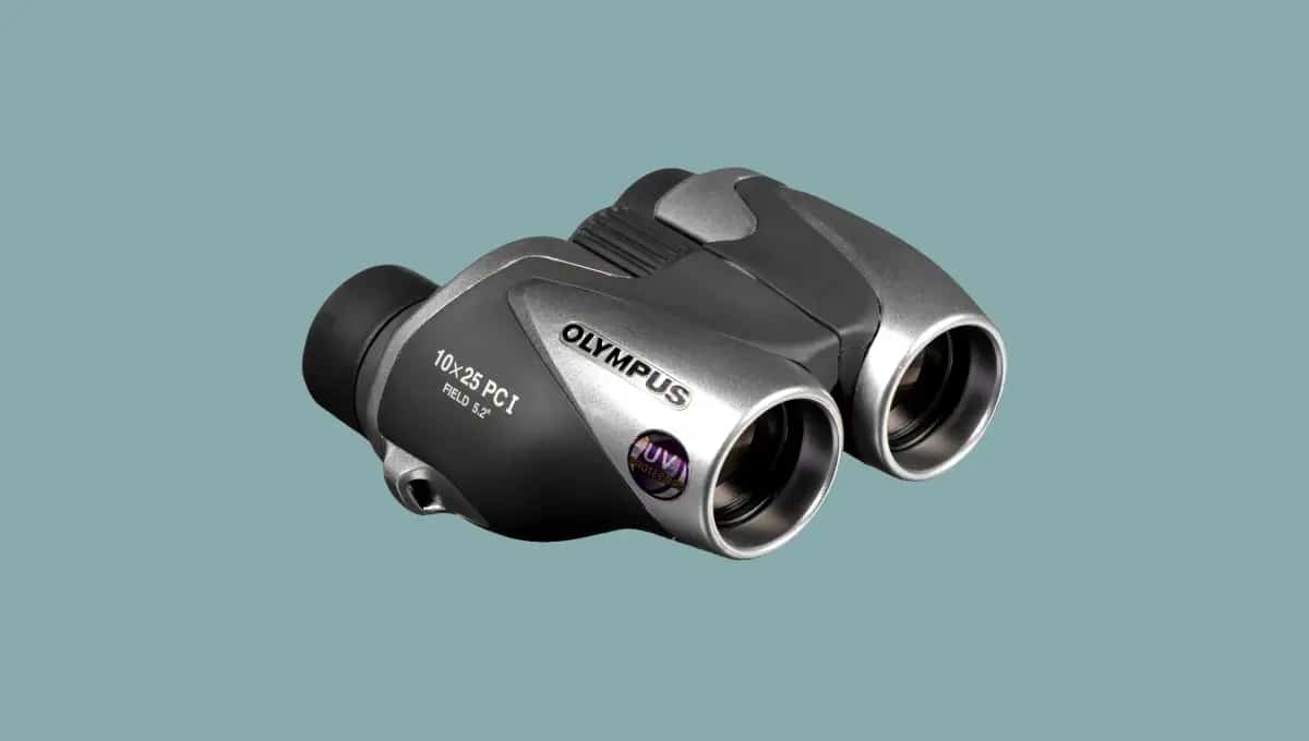 The best Olympus binoculars for bird watching and nature
