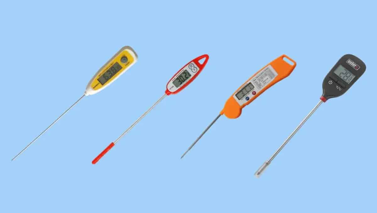 Best kitchen thermometer reviews