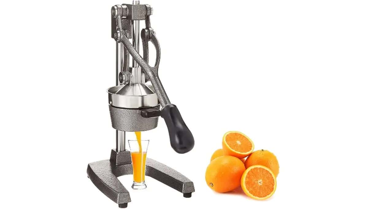 Best commercial citrus juicer machine Orange juice maker reviews