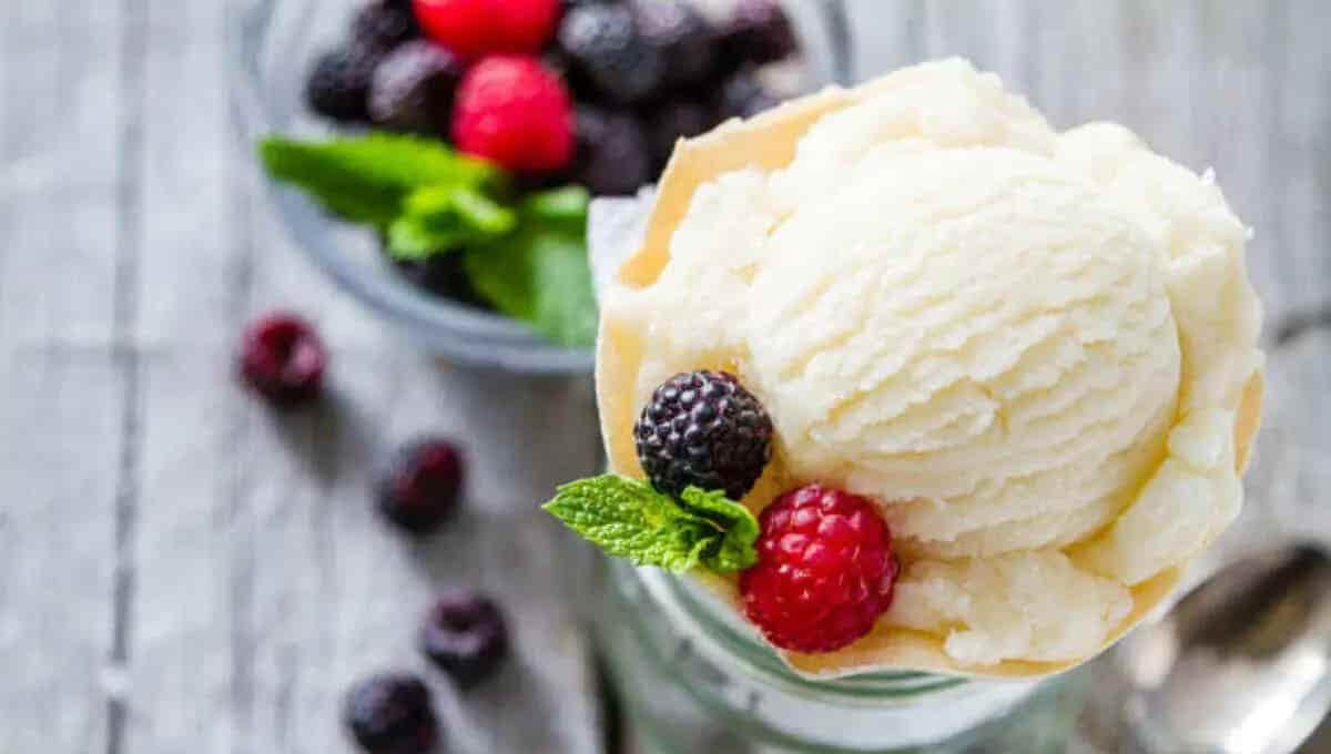 Best homemade ice cream recipe books