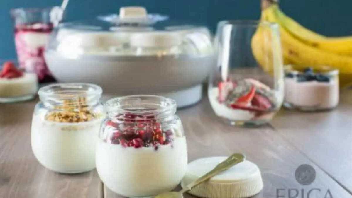 Best yogurt maker machine for home use reviews