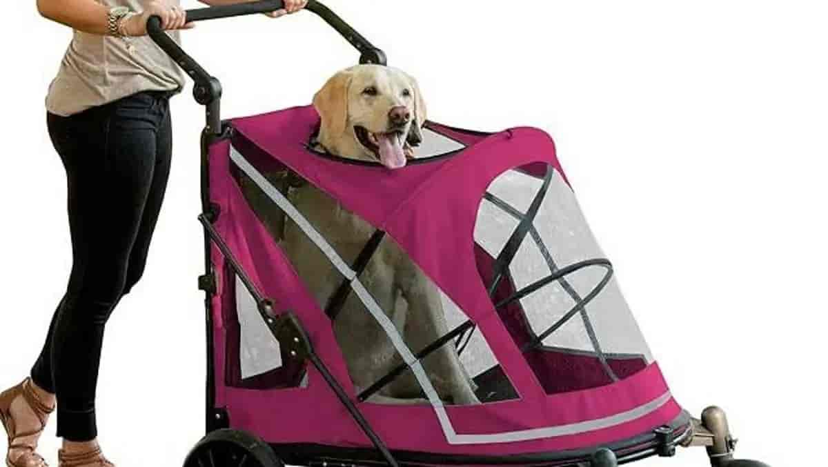 The 6 best pet strollers for dogs Top rated dog strollers Amazon