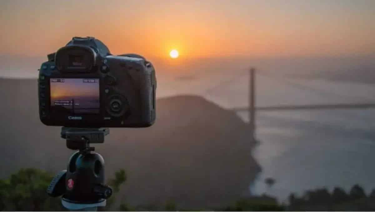 Best Bridge Cameras top 8 superzoom camera models affordable