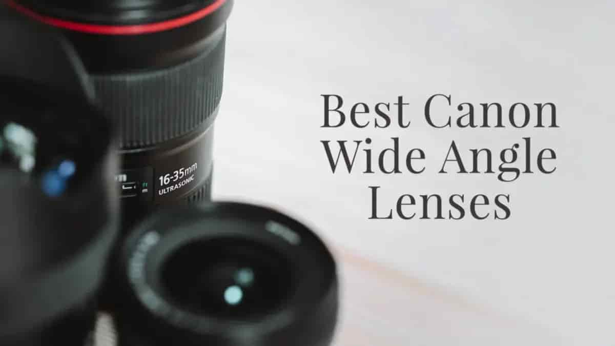 Best Canon Wide Angle Lens Reviews And Buying Guide