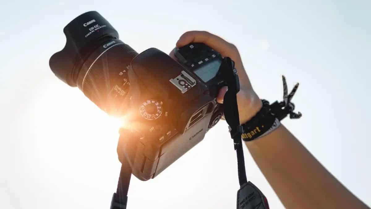 Best DSLR camera for beginners review and buying guide