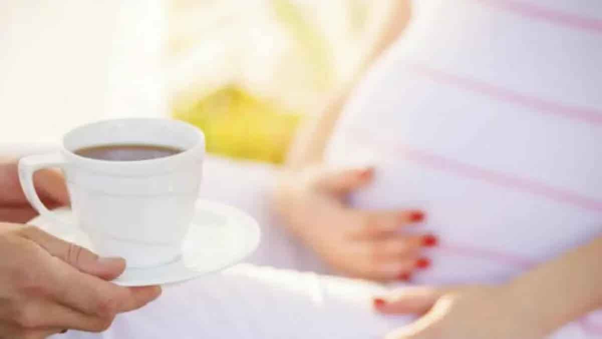 Best tea during pregnancy natural infusions to promote a healthy breastfeeding