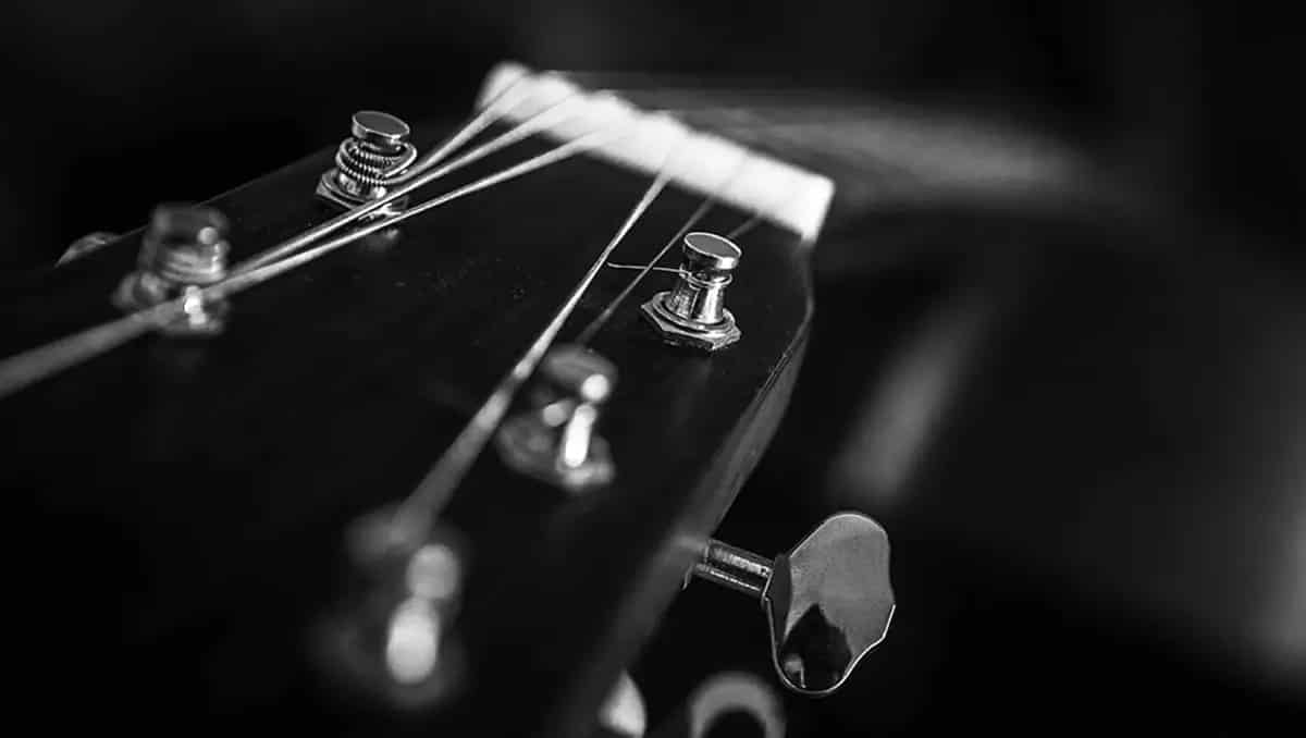 The top 8 best acoustic guitar strings Reviews and buying guide
