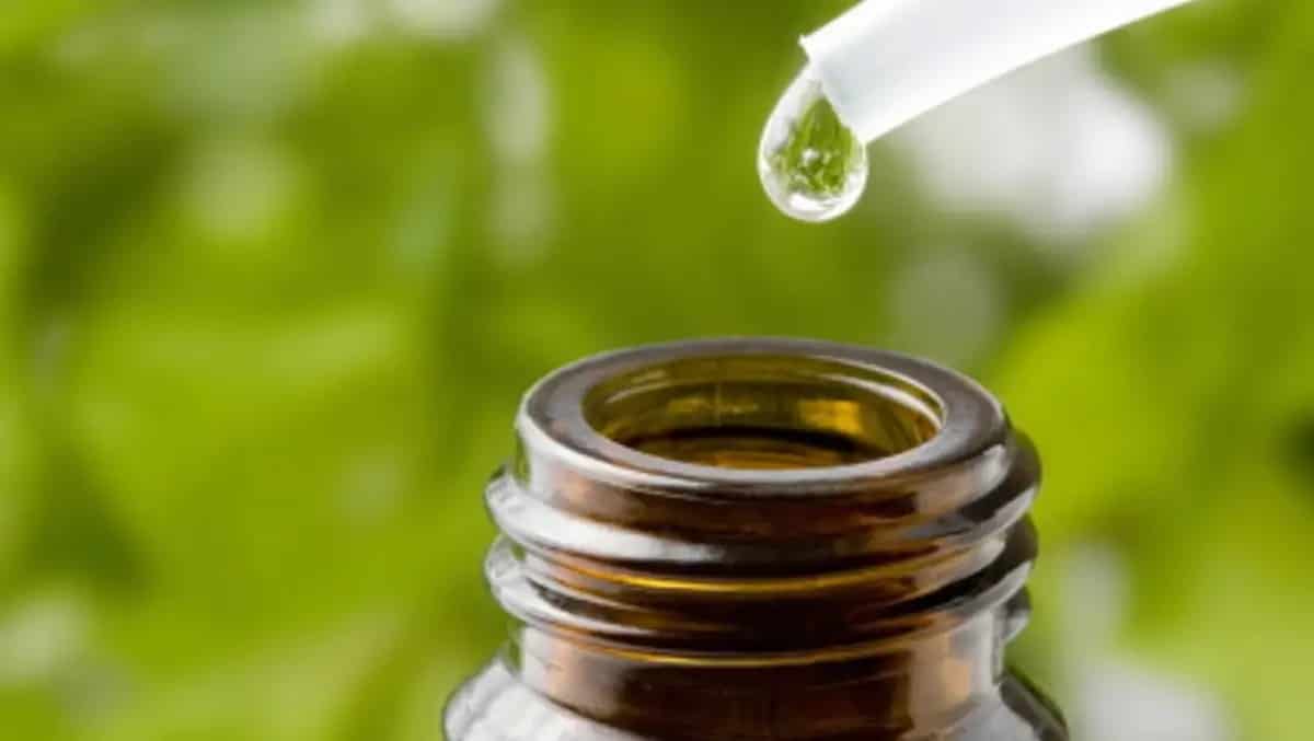 Best Tea Tree oil brands multifunctional healing and aromatic oils