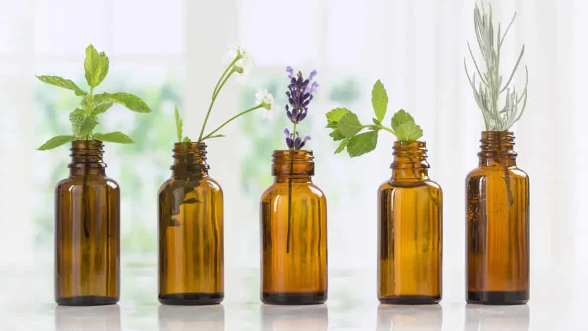 Best aromatherapy oils to perfume the house