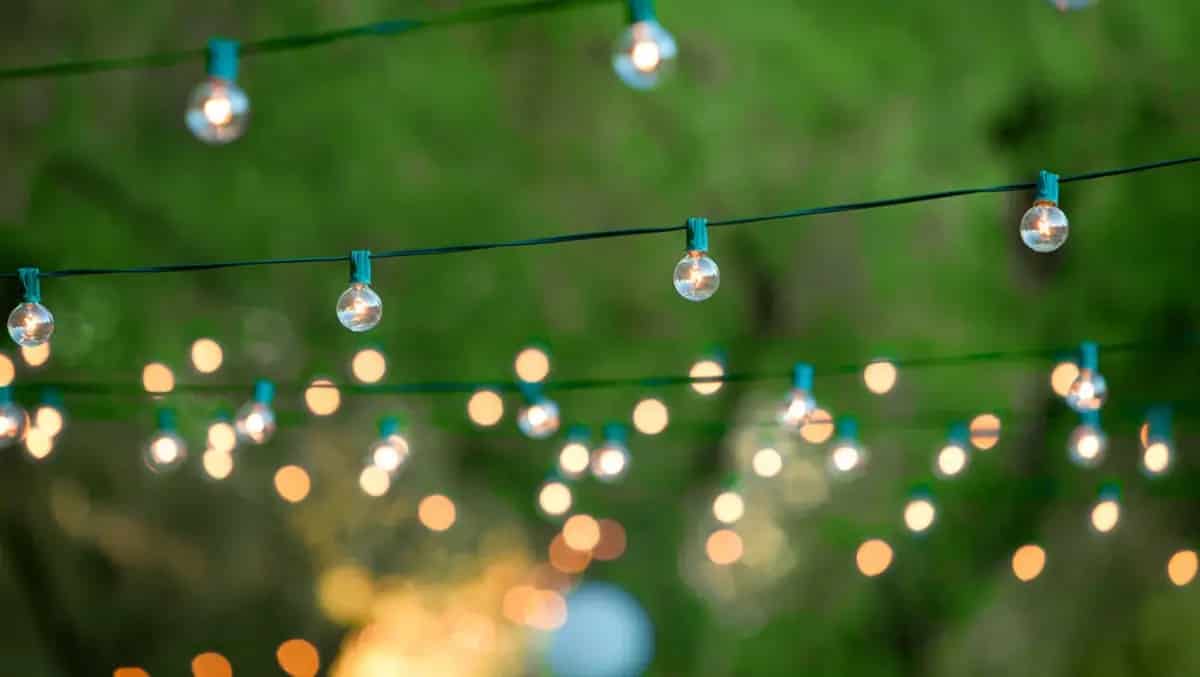 Best solar Christmas lights reviews Solar lights for Christmas decorations