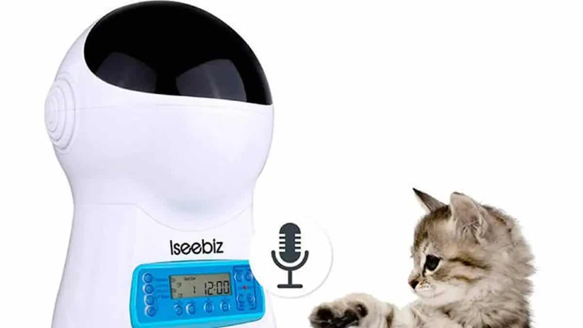 The best automatic cat feeder and food dispenser