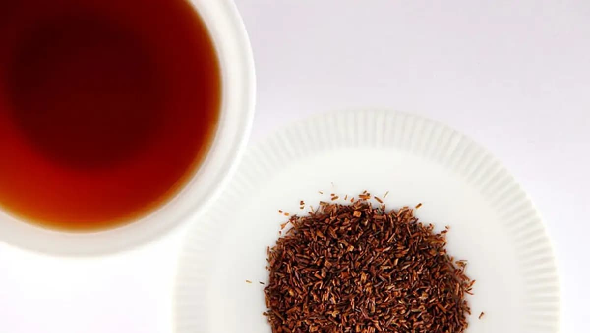 Best Rooibos Teas to Stop the Passage of Time and Sleep Perfectly