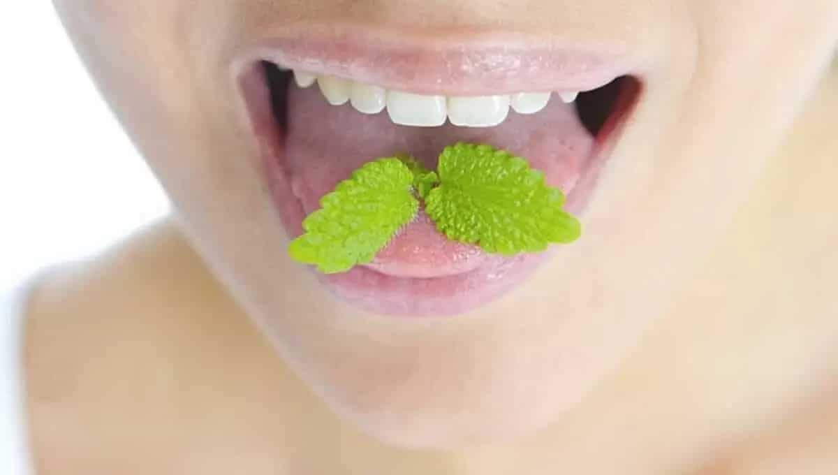 Best products to fight bad breath fast and forever