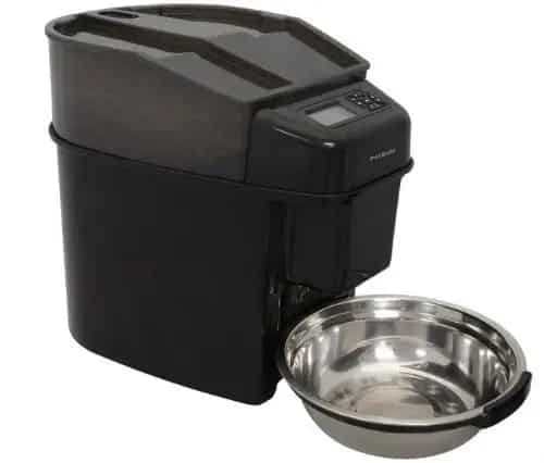 Best Automatic Dog Feeders Reviews