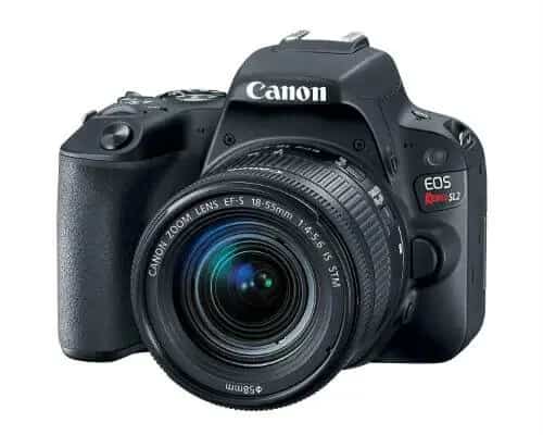 Best Digital SLR camera for beginners amateurs reviews
