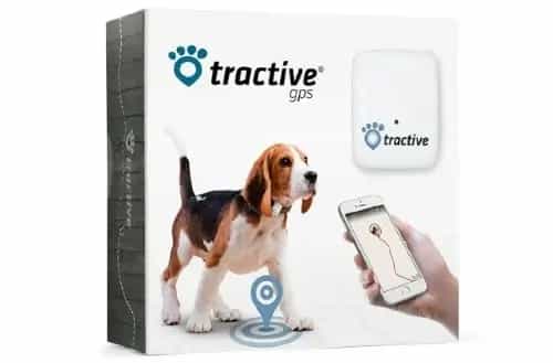 Best GPS tracker for dogs cats and animals