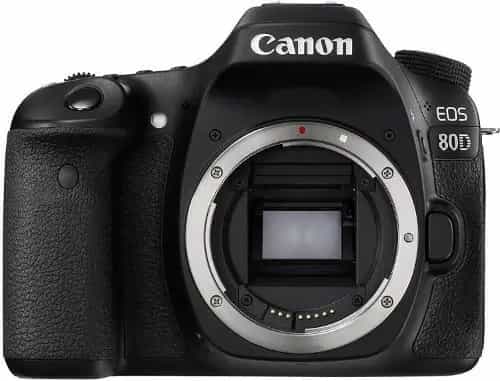 Canon Digital SLR Camera EOS 80D review