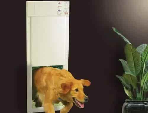 High Tech Pet Power Pet Electronic Pet Door review