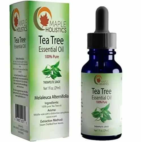 Maple Holistics Tea Tree Oil Natural Essential