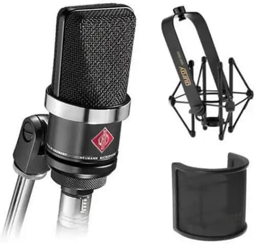 Neumann TLM 102 Large Diaphragm Studio mic