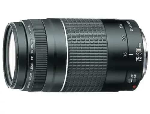 Best telephoto lenses for Canon cameras market all models