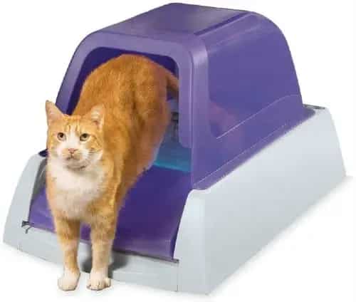 PetSafe ScoopFree Ultra Automatic pet small large cat