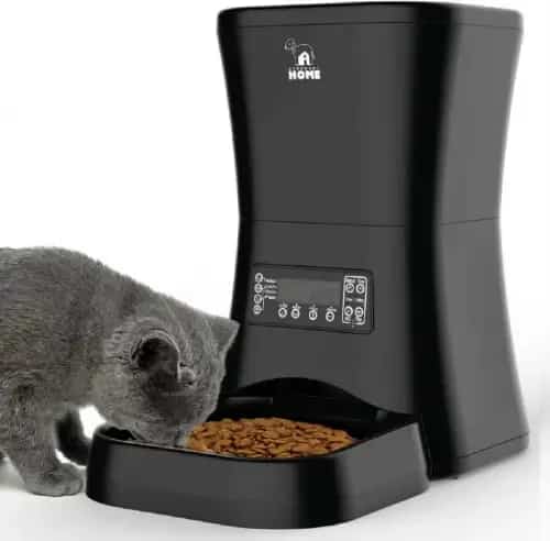 Programmable Food Dispenser kitten