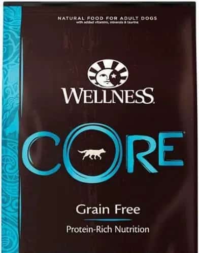Wellness Core Ocean Grain Free Kibble