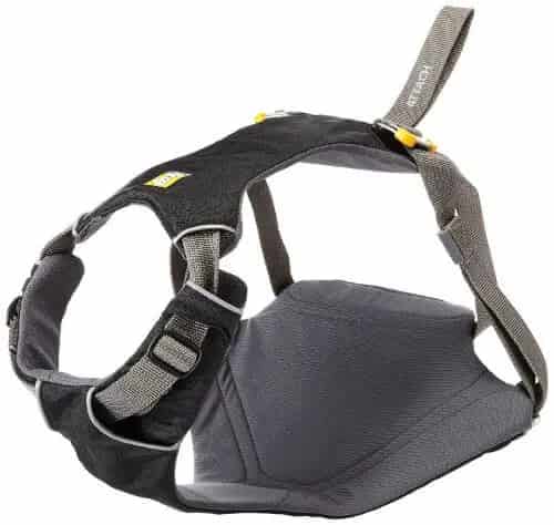 What is the best dog car seat belt