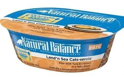 Best wet cat food you can buy for your kitten