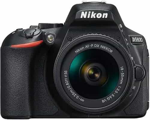 Nikon D5600 DSLR Cameras