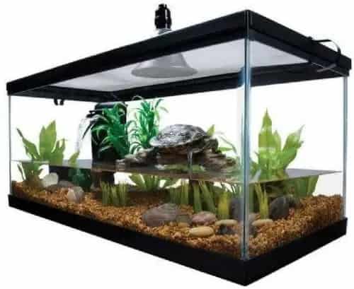 Reptile Habitat Aquarium Tank amazon Best turtle aquarium for sale