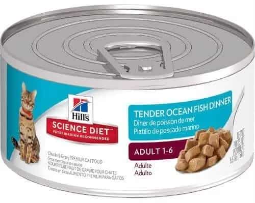 best wet foods for cats amazon review