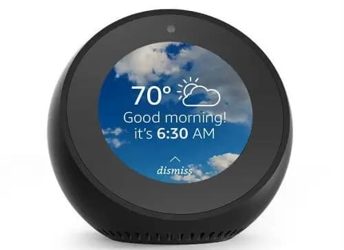 The best smart speakers with Amazon Alexa voice assistant