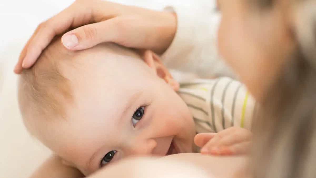 Best nursing bras reviews top 7 breastfeeding bras on Amazon