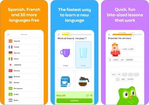 Duolingo Language Classes