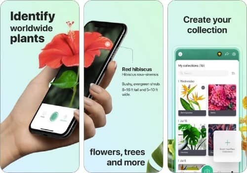 PictureThis free Plant Identification app ios